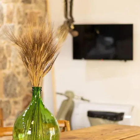 S'ogiastru أوليينا