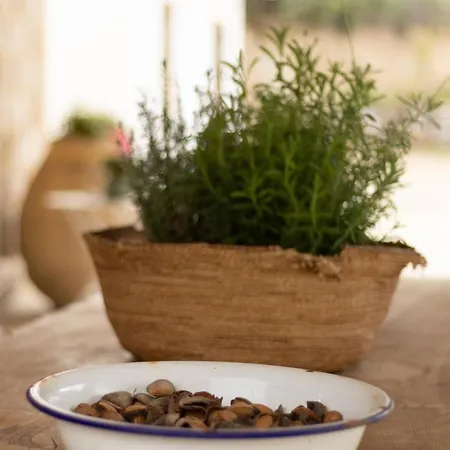 S'ogiastru Hébergement de vacances Oliena