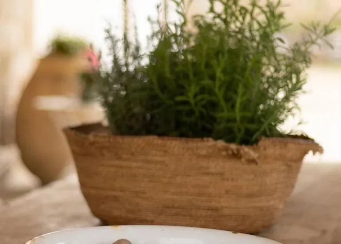 S'ogiastru Vakantiehuis Oliena